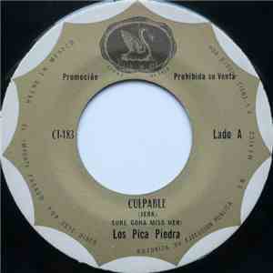 Los Pica Piedra - Culpable