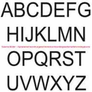 Sascha Müller - Alphabetischeordnungsrechteinerbuchbundergesellschaftsformd ...