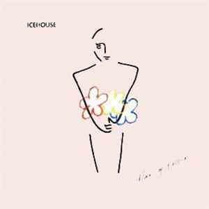 Icehouse - Man Of Colours