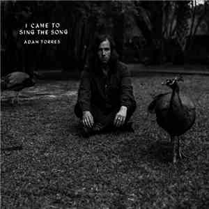 Adam Torres - I Came To Sing The Song