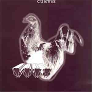 Curtis - Velcro