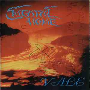 Mental Home - Vale