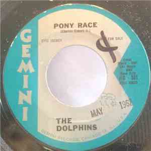 The Dolphins  - Pony Race