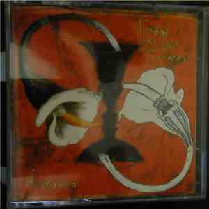 Toad The Wet Sprocket - Dulcinea