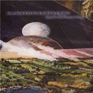 Xanthocephalus -  Syntonic Reasoning