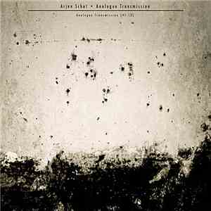 Arjen Schat - Analogue Transmission