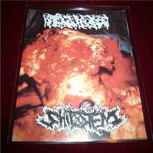 Hydrocephalus, ShitStench - Split