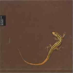 Marco Repetto - Tonus - Music Labor Research Result