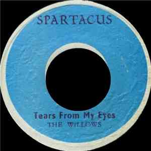 The Willows  - Tears From My Eyes/ Hard To Fall In Love