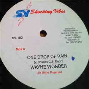 Wayne Wonder - One Drop Of Rain
