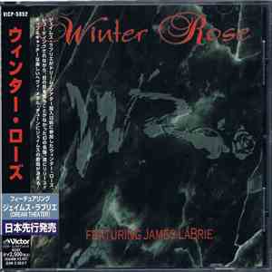Winter Rose - Winter Rose