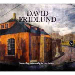 David Fridlund - Some Day, Eventually, In The Future...