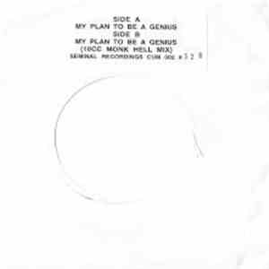 The International Pop Assassins - Lo-Fi Elvis On Acid