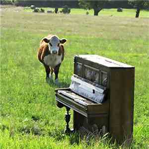 Bovine Boy - Last Train To Trancentral (Lounge Mix)