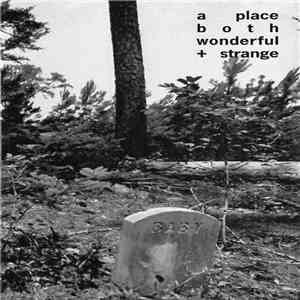A Place Both Wonderful And Strange - Sorry For Your Loss