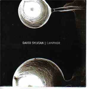 David Sylvian - Camphor