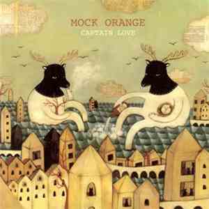 Mock Orange - Captain Love