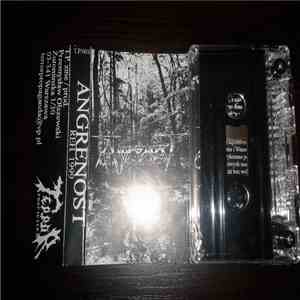 Angrenost  / Stary Las - Angrenost / Stary Las