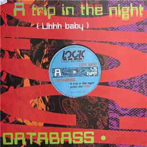 Data Bass - A Trip In The Night