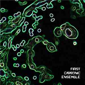 First Catatonic Ensemble - Second EP