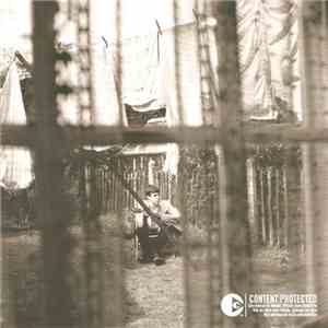 Paul McCartney - Chaos And Creation In The Backyard