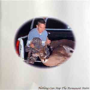 The Permanent Stains - Nothing Can Stop The Permanent Stains