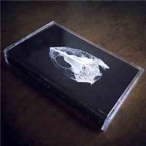 Cetacea - Glyphs