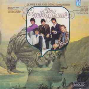 The Buckinghams - In One Ear And Gone Tomorrow