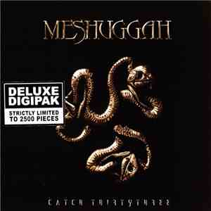Meshuggah - Catch Thirtythree