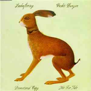 Vashti Bunyan - Lookaftering