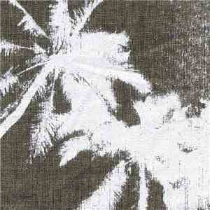Haunted  - Aureole