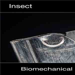 Insect  - Biomechanical