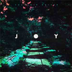 Souvenir Driver - Joy