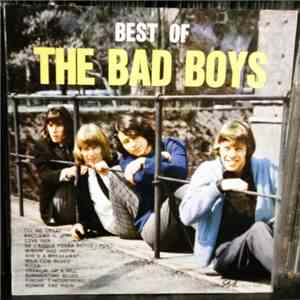 The Bad Boys  - Best Of