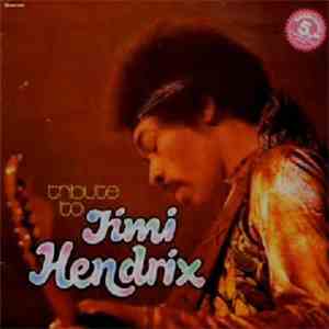The Live Experience Band - Tribute To Jimi Hendrix