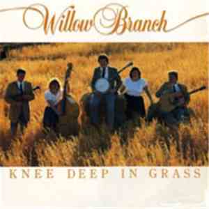 Willow Branch - Knee Deep In Grass