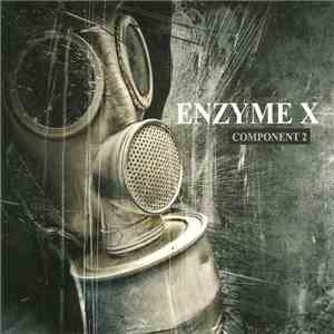 Enzyme X - Component 2