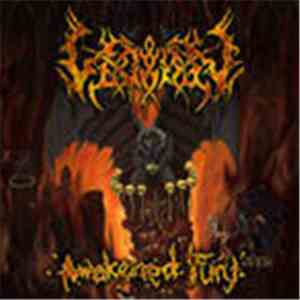 The Legion  - Awakened Fury