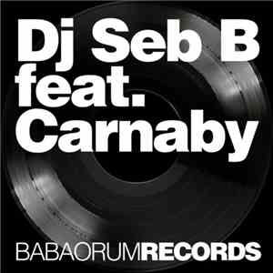 DJ Seb B Feat. Carnaby - The Jeff Bullets
