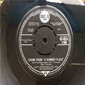 Hugo Winterhalter's Orchestra And Chorus - Theme From A Summer Place