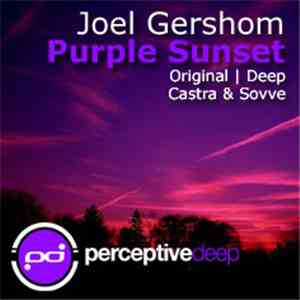 Joel Gershom - Purple Sunset