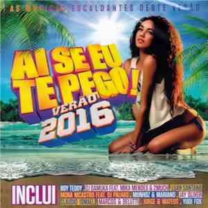 Various - Ai Se Eu te Pego Verão 2016