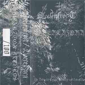 Seelenfrost / Baerenzorn - Die Boten Der Toten / Waldheyt Und Totenkalk