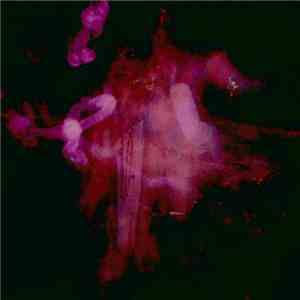 The Legendary Pink Dots - Farewell, Milky Way