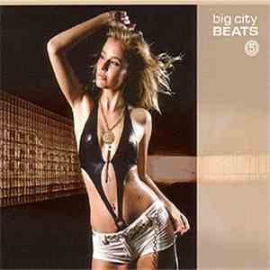 Various, DJ Hildegard - Big City Beats 5