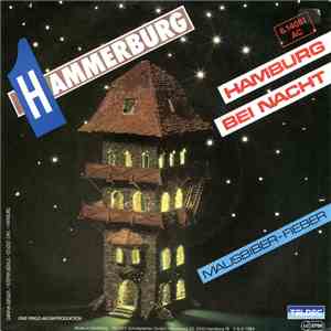 Hammerburg - Hamburg Bei Nacht