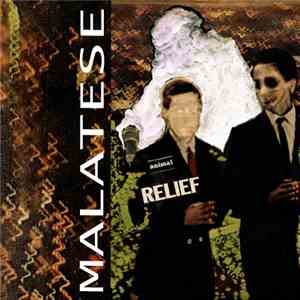 Malatese - Animal Relief