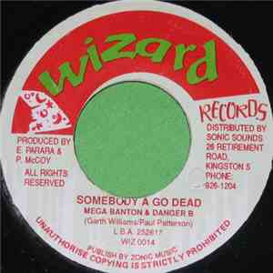 Mega Banton & Danger B - Somebody A Go Dead