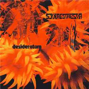 Synaesthesia - Desideratum