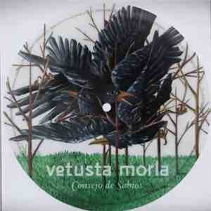 Vetusta Morla - Consejo de Sabios